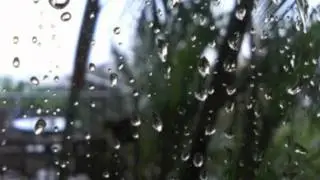 Rainy Morning