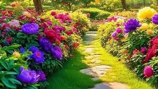 আসসালামুয়ালাইকুম আপু ভাইরা সবাই জয়েন হয়ে যাও তাড়াতাড়ি 🥰🥰