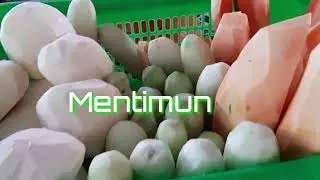 Gilaa !!! 1 porsi bisa untuk 3 Orang || Rujak Manis Semeru Malang