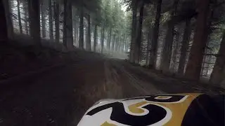 DiRT Rally 2.0_20260116093917