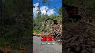 TimberPro TL755D with SouthStar 600 Head #jwe #loggingequipment #timberpro  #forestry