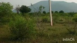 n p Properties  2 acre 30 gunte pure red soil 21 lakhs per acre  6360446978 channel  water available