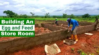 Setting Up Egg and Feed Store Room | 5,000 Capacity Poultry Farm in Ogun State