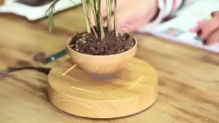 Breathtaking Levitating Plant Pot