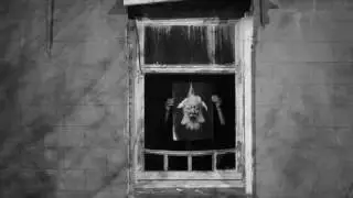 De Witte Panter.flv