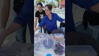 Благотворительная акция на набережной в Анталье#турция#travel