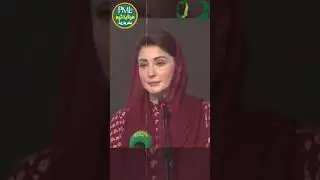 ✷Maryam Nawaz✷ #pmlnofficial #maryamnawaz #viralshort #viralpage #foryou #foryoupage #youtube