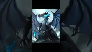 If there is a fight in Mega Charizard X Y Z, which of these Charizard will win? #shorts #pokemon
