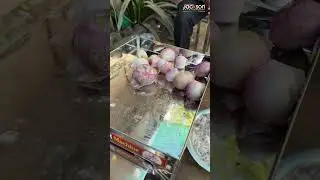 Onion Slicer Machine | Fast & Uniform Cutting Demo #OnionSlicer #FoodBusiness