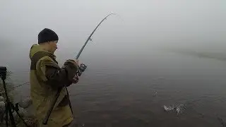 ЛОВИМ ФОРЕЛЬ НА ОЗЕРЕ / CATCH a TROUT IN LAKE
