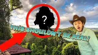 Jungle Tree Tier List
