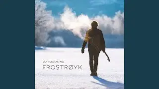 Veiviser
