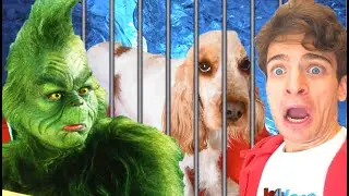 IL GRINCH HA RAPITO LA NOSTRA CUCCIOLA!!