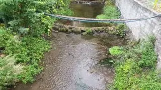 Sivas il&ccedil;esi doğanşar Kozlu k&ouml;y&uuml;nden paylaşım doğayinane i&ccedil; i&ccedil;e izlemeye değer 