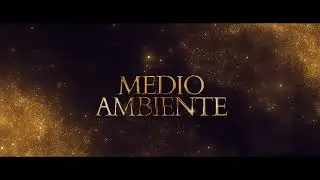 ¿Qué son los MMT AwARds ? Un reconocimiento a trayectorias que inspiran