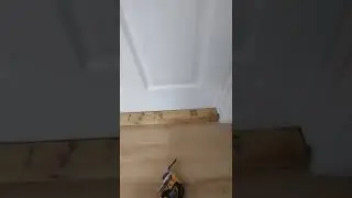How To Cut A Door While It's Still Hanging