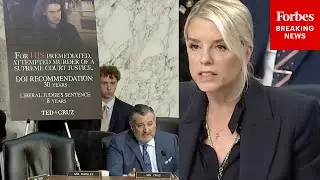 JUST IN: Ted Cruz Asks Pam Bondi Point Blank About 8-Year Sentence For Would-Be Kavanaugh Assassin