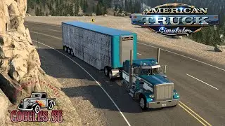 ATS | Paintable Stained B4RT Wilson Silver Star! Heading Your Way Soon!