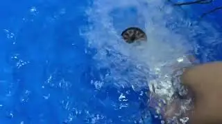 Motor in water, works well!