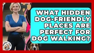 What Hidden Dog-friendly Places Are Perfect For Dog Walking? - Animal Care Jobs