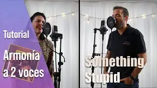 Something Stupid | Aprende a cantar y Armonizar a 2 VOCES