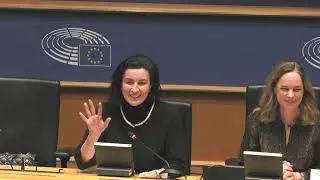 Федеральный министр Бэр выступает с речью на слушаниях в Европейском парламенте по вопросу о слия...