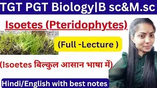Isoetes (Pteridophytes)|Full:-Lecture|TGT|PGT Biology|uptgtpgtbiologyclases||By Priyal bhati.