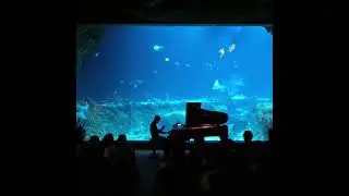 Tak było na jedynym na świecie koncercie fortepianowym w ogromnym akwarium oceanicznym w Zoo Ł&oacute;dź.