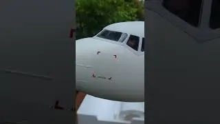 Unboxing RC Boeing 737 - Freewing AL37 Airliner #aviationdiscoveries  #exploreaviation #aerospace
