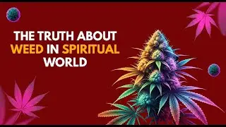 The Truth About Weed in the SPIRITUAL World