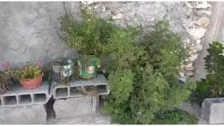 مناظر جميلة من بادية صديقتي@najat channel