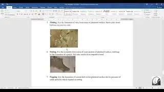 How to insert page number Roman numerals and Numbers in Ms word