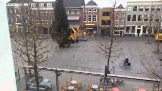 Christmastree in Goes marketplace
