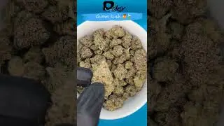 Guava kush 🥭🍃