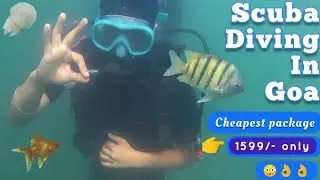 Scuba diving in Goa | Grand island | Cheapest package | Calangute beach | Baga beach | Goa vlog