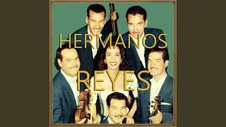 Golondrina de Ojos Negros (Canción Mexicana)