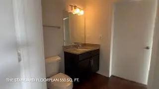 C Street Flats Apartments Laurel, MD Home: The Standard Floor Plan. 550 SQ. FT.