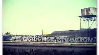 MSV Duisburg - Jeden Weg