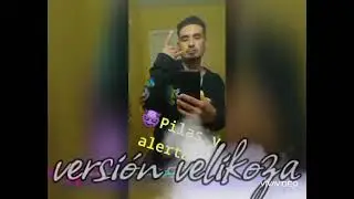 El churras laversion belikosa
