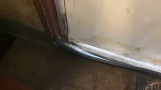 Gaps Under Back Door Leads to a Mouse Problem