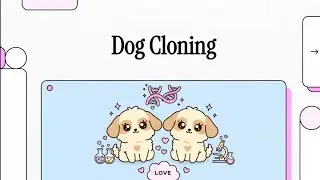 Dog Cloning as Intriguing Opportunity