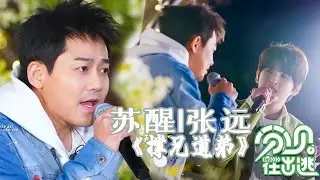 【🎵音乐纯享版】苏醒｜张远——《撑兄道弟》