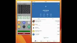 Withdraw from seed brute force software 💵