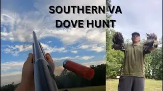 Southern VA Dove Hunt - Birds Everywhere!
