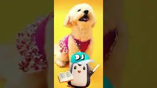 Fun Facts About Dogs For Kids - Learning Facts With D Jay   #kids #children #shorts #facts #dogs