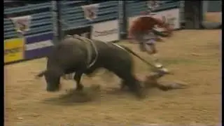 Tropical Depression bucks Chris Shivers - 97 PBR Finals