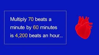 How Many Times Does a Human Heart Beat?