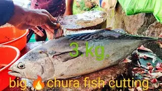 Big Chura fish cutting Choora fish cutting Malayalam choora fish cutting 🔥