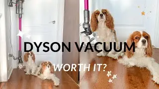 DYSON V11 TORQUE UNBOXING AND FIRST TRY IN PET HOME // Cavalier King Charles Vlog