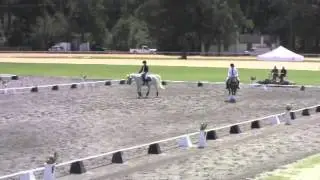 Michael Jackson Dressage Pas de Deux 84%